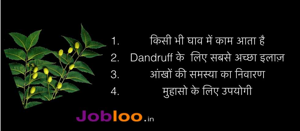 Uses of Neem Tree in Hindi