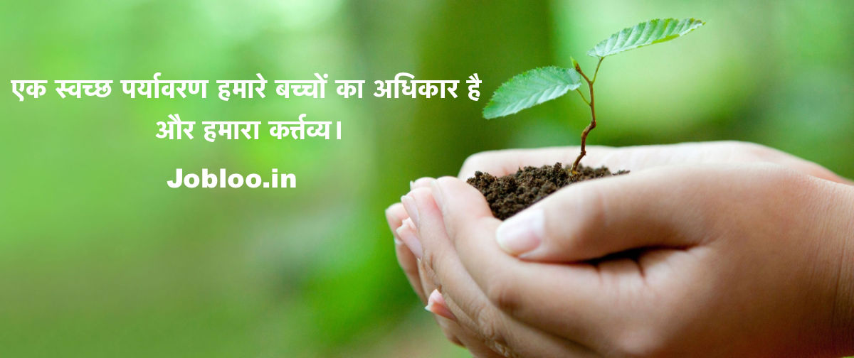 essay on sustainable development in hindi