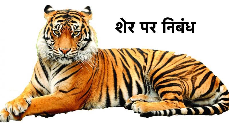 Essay on Tiger in Hindi