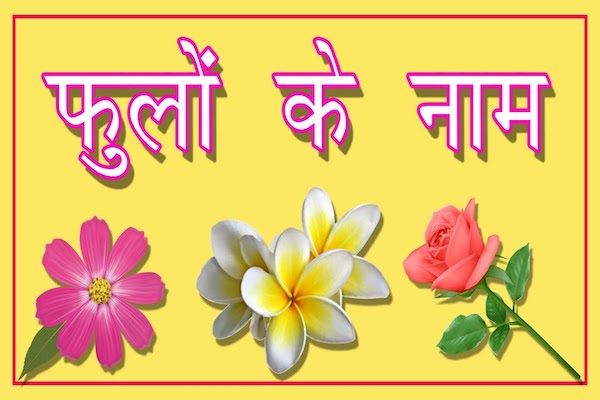 Flowers Name in hindi